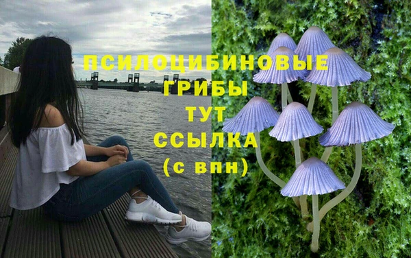 эйфоретик Балабаново