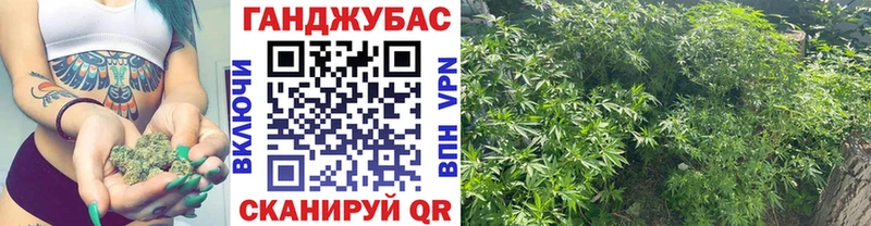 Купить закладки  Омутнинск  Бошки марихуана SATIVA & INDICA 